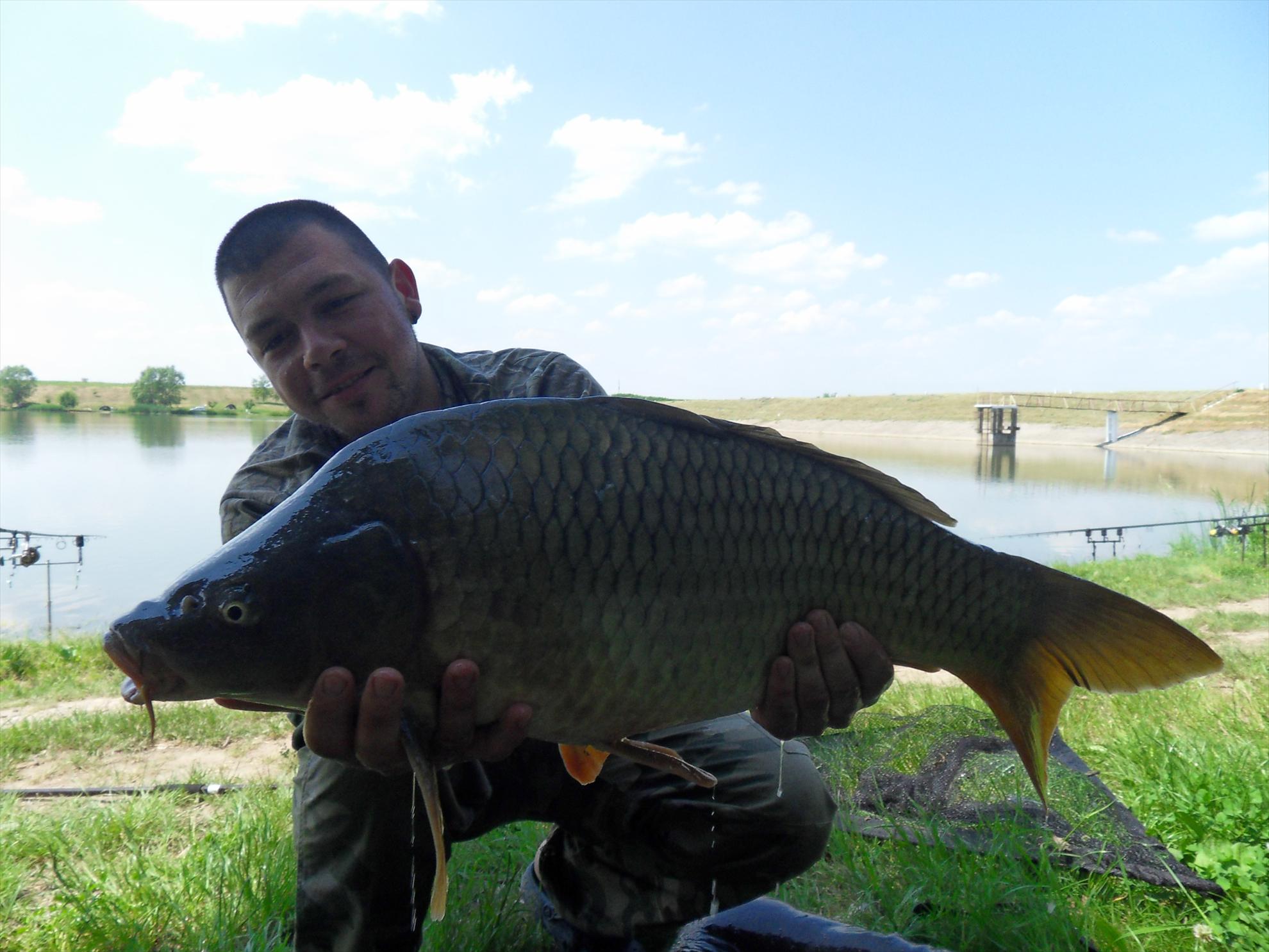 Cetariu 2011 - cetariu2011-145.JPG